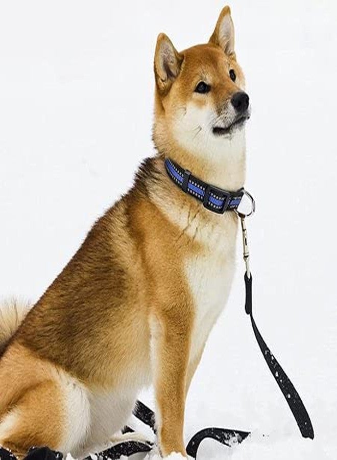 Petlicious & More® 19 mm Reflective Collar (Size 12" - 22" Inch, Color - Blue) with Chain Leash for Small & Medium Size Dogs (Chain Length - 5 Ft) - Image 5